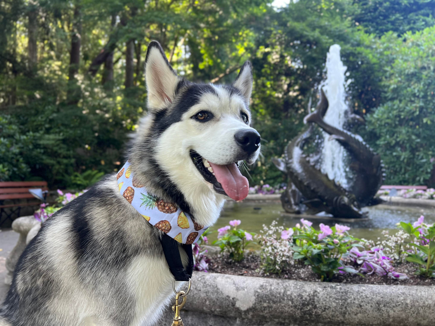 Dog Cooling Scarf